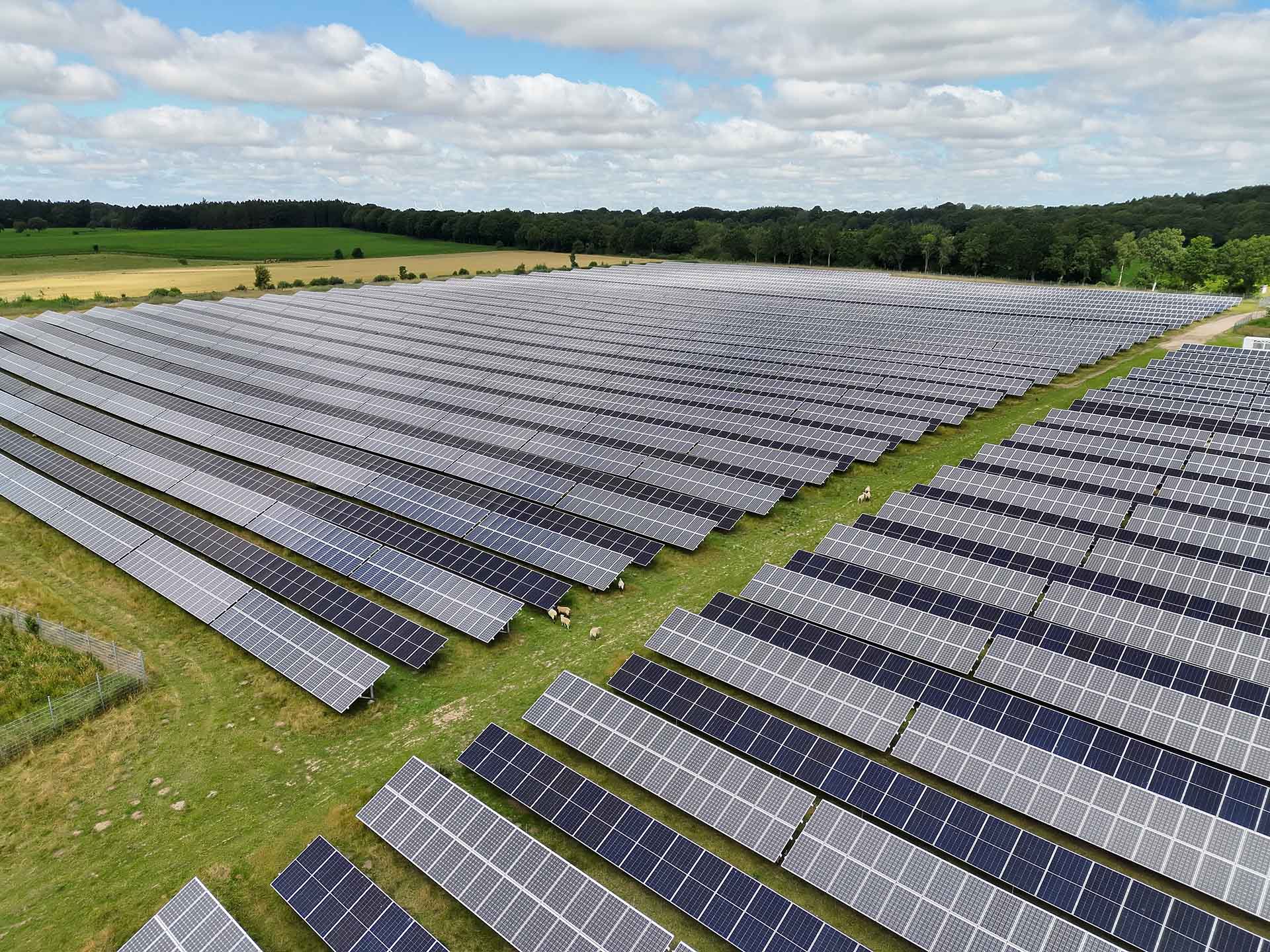 Schräge Frontalansicht auf eine PV-Freiflächenanlage in Nindorf-Farnewinkel auf einem grünen Feld.